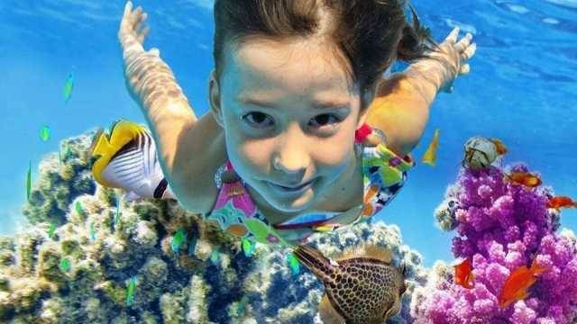 Private boat Trip to the Ras Mohamed from Sharm el Sheikh — photo 4