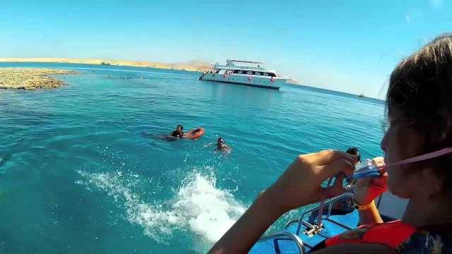 Private boat Trip to the Ras Mohamed from Sharm el Sheikh — photo 7