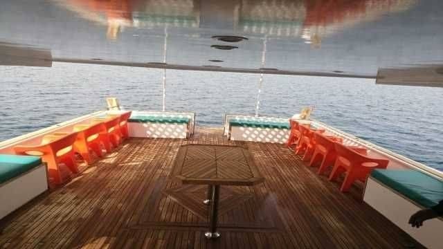 Private snorkeling boat Trip to dolphin house from Hurghada