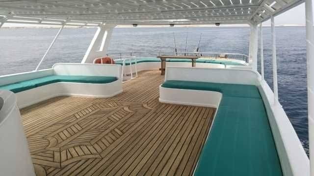 Private snorkeling boat Trip to dolphin house from Hurghada — photo 2
