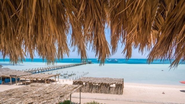 Private speedboat trip to dolphin house in Hurghada