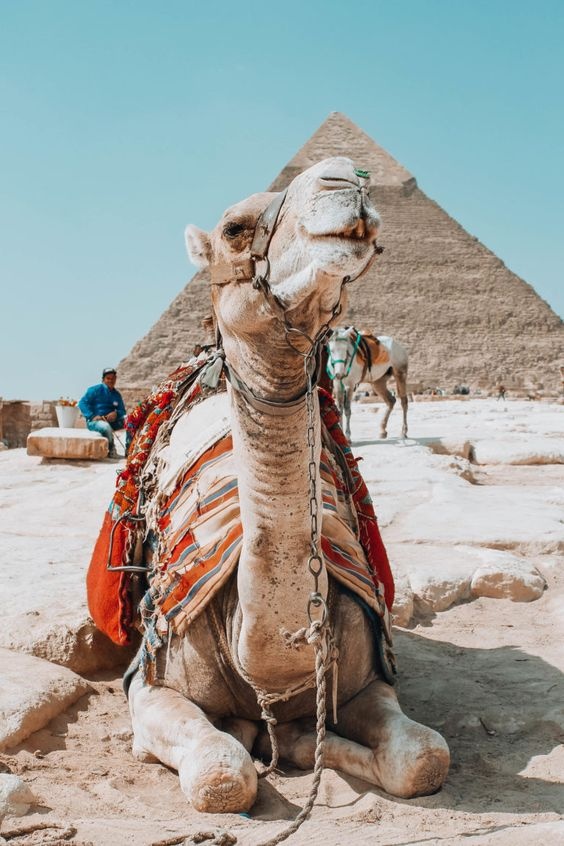 Private Trip to Pyramids from Damietta by Private Vehicle — photo 5