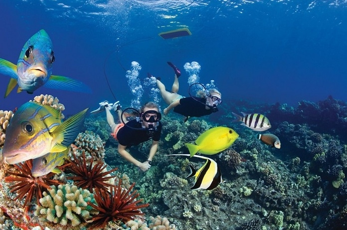 Private Trip To The Ras Mohamed From Sharm El Sheikh Port — photo 7