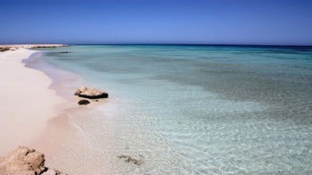 Private trip to Wadi El Gemal from Marsa Alam