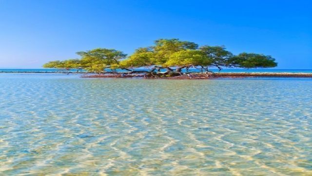 Private trip to Wadi El Gemal from Marsa Alam — photo 2