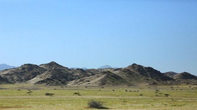 Private trip to Wadi El Gemal from Marsa Alam — photo 3