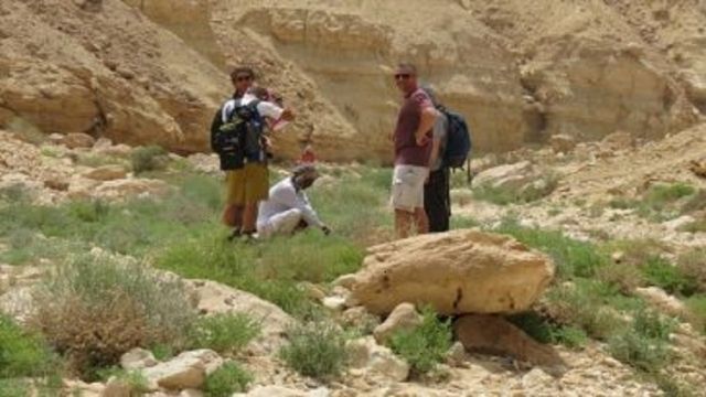 Private trip to Wadi El Gemal from Marsa Alam — photo 5