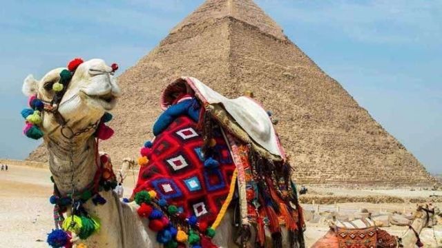 Pyramids of Giza day Trip from Port Said — photo 4