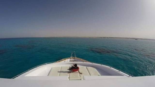 Sataya Reef Dolphin House Snorkel Trip from Marsa Alam — photo 2