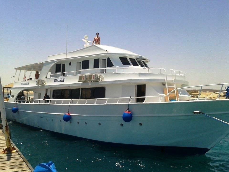 Sataya Reef Dolphin House Snorkel Trip from Marsa Alam — photo 4