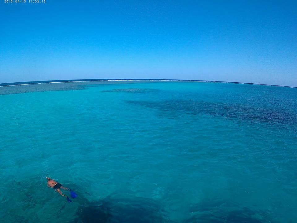 Sataya Reef Dolphin House Snorkel Trip from Marsa Alam — photo 5