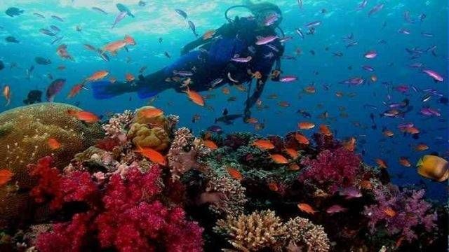 Scuba diving trip from Hurghada