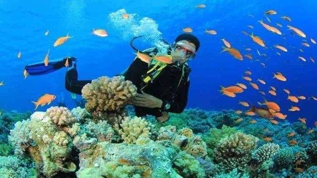 Scuba diving trip from Makadi — photo 3