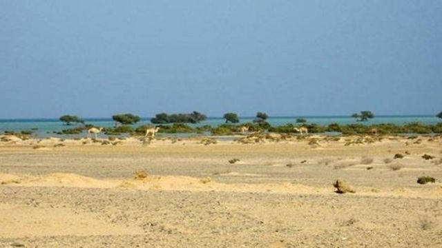 Shalateen Tour From Marsa Alam — photo 2