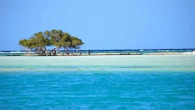 Shalateen Tour From Marsa Alam — photo 5