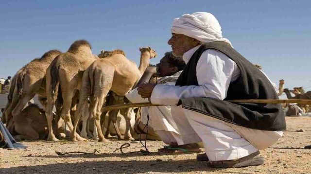 Shalateen Tour From Marsa Alam — photo 6