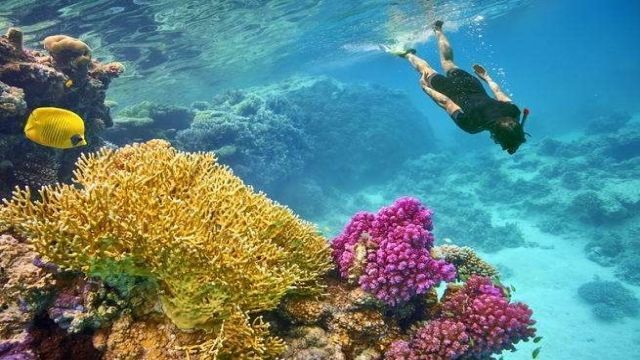 Sharm El Luli Snorkeling Tours from Med Red Sea — photo 5