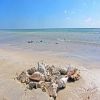 sharm_el_luli_snorkeling tours โ photo 2