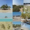 sharm_el_luli_snorkeling tours โ photo 3