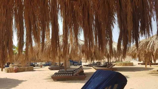 sharm el naga bay snorkeling trip from El Gouna Egypt Red Sea — photo 4