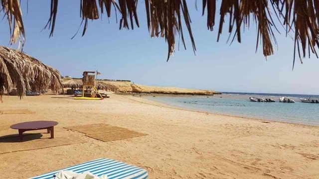 sharm el naga bay snorkeling trip from El Gouna Egypt Red Sea — photo 5