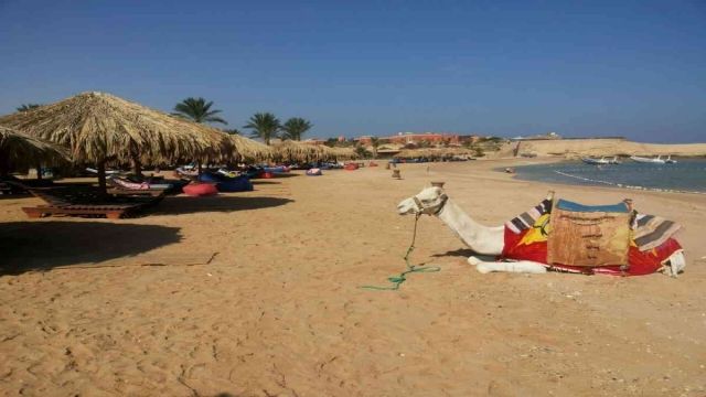 Sharm El naga bay snorkeling trip from Sahel Hashesh โ photo 2