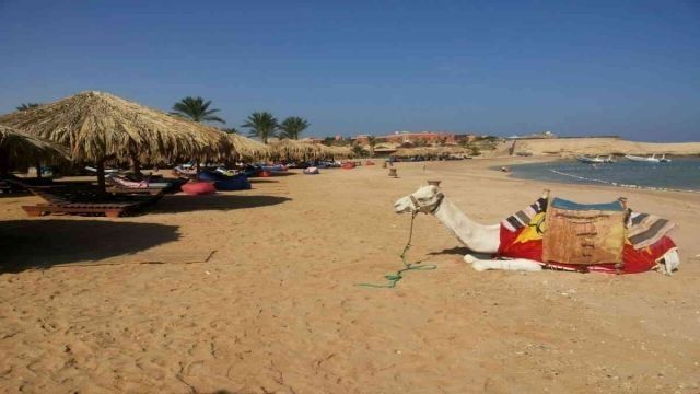 Sharm el Naga day snorkeling trip from Hurghada