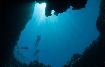 Snorkel trip in the Blue Hole with Camel ride from Sharm el Sheikh — photo 2