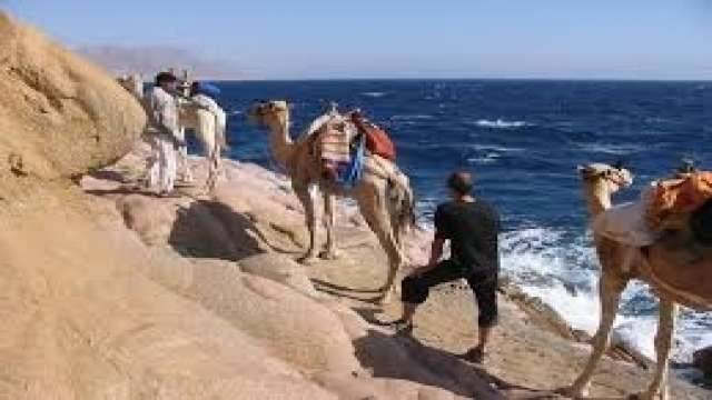 Snorkel trip in the Blue Hole with Camel ride from Sharm el Sheikh — photo 4