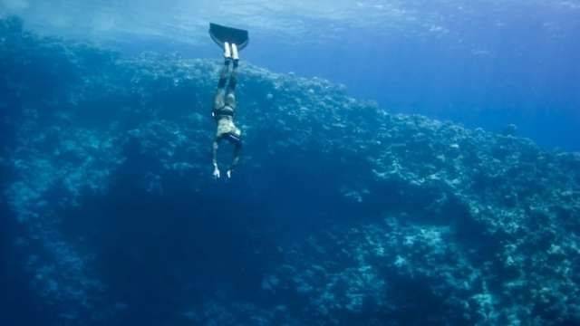 Snorkel trip in the Blue Hole with Camel ride from Sharm el Sheikh — photo 5