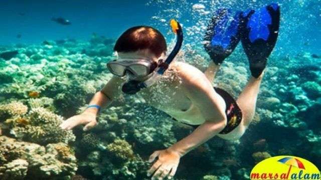 snorkeling at dolphin house from marsa alam — photo 6