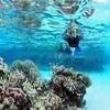 Snorkeling Trip at Hamata Islands From Portghalib — photo 3