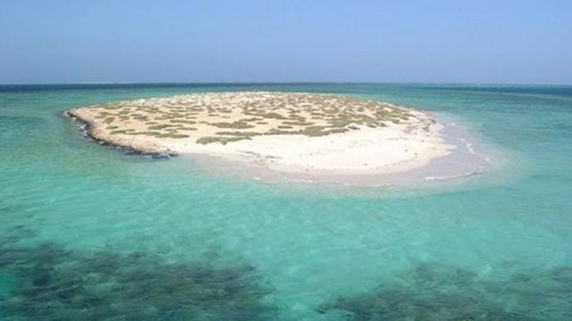 Snorkeling Trip at Hamata Islands From Portghalib — photo 4