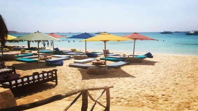Snorkeling Trip At Mahmya Island from El Gouna — photo 5