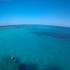 Snorkeling Trip At Sataya dolphin Reef from El Quseir — photo 2