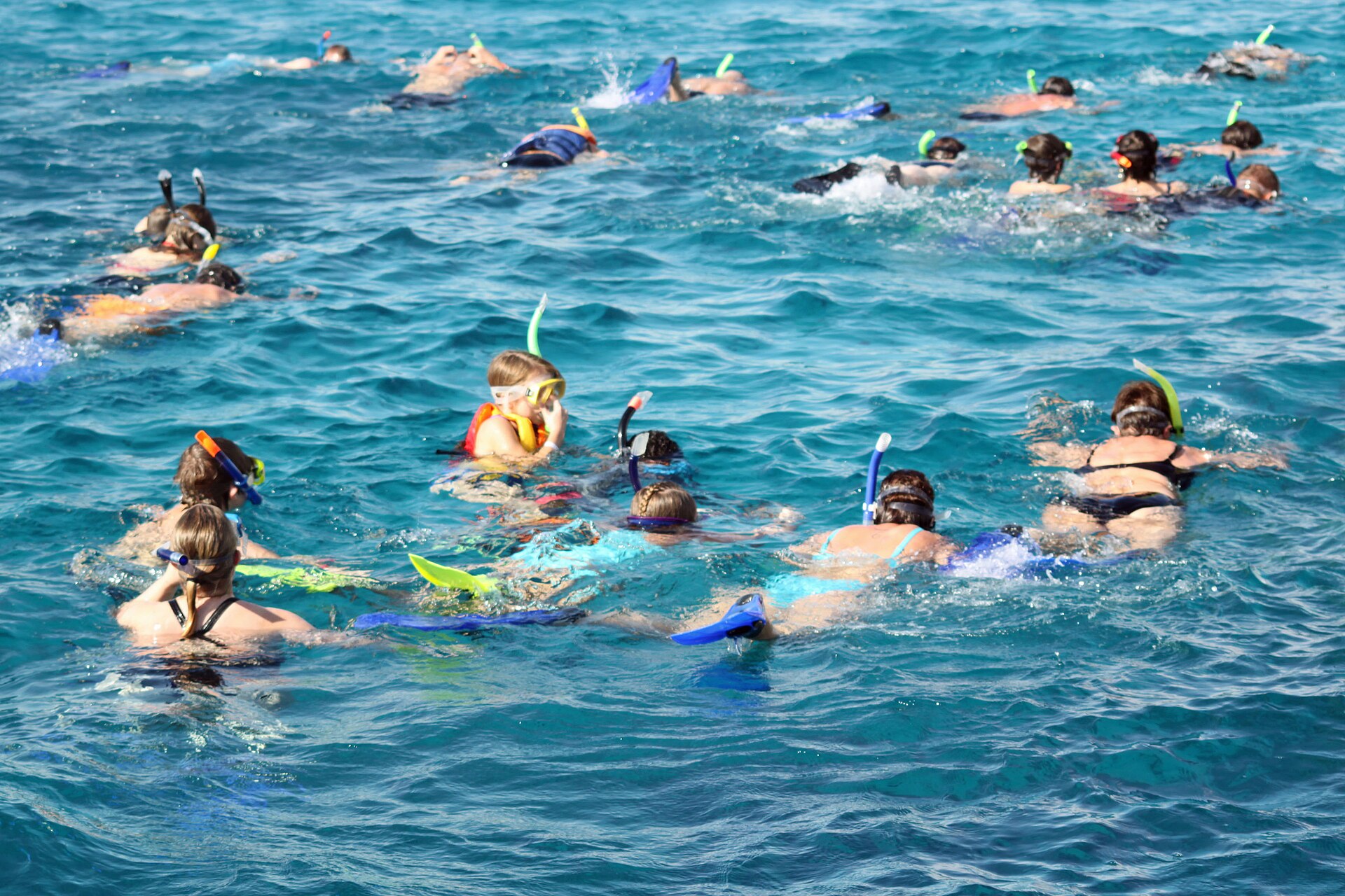 Snorkeling Trip At Sataya dolphin Reef from Marsa Alam — photo 2