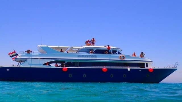 Snorkeling Trip At Sataya dolphin Reef from Marsa Alam — photo 3