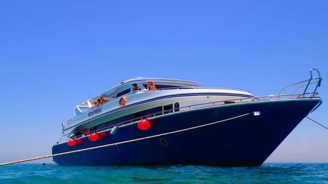 Snorkeling Trip At Sataya dolphin Reef from Marsa Alam — photo 6
