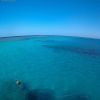 Snorkeling Trip At Satayh Dolphin Reef from Portghalib — photo 3