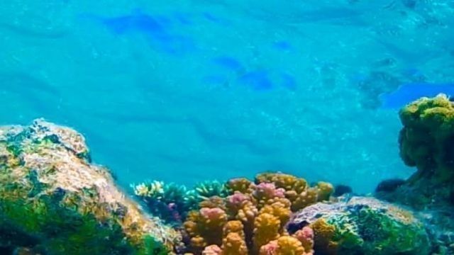Snorkeling trip to Hamata Islands From El Quseir — photo 6