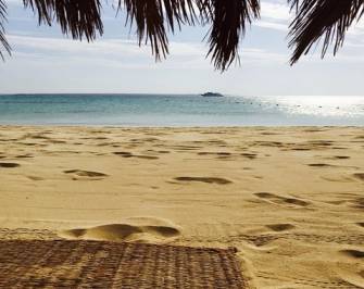 Snorkeling Trip to Mahmya Island from Sahel Hashesh