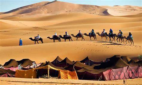 Super Safari Adventure From Sharm El Sheikh Port — photo 4