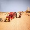 Super Safari Trip from Sahel Hashesh โ photo 5