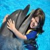 Swim with dolphins in Sharm el Sheikh — photo 4