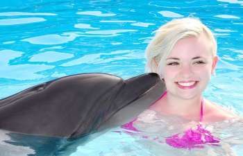 Swim with dolphins in Sharm el Sheikh — photo 5