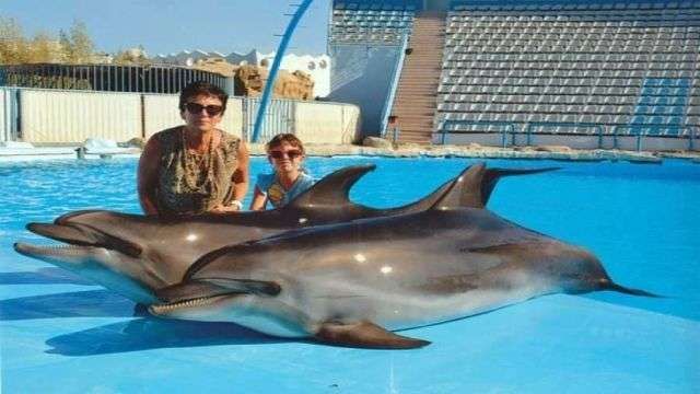 Swim with dolphins in Sharm el Sheikh — photo 7