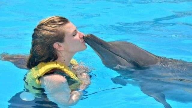 Swim with dolphins in Sharm el Sheikh — photo 8