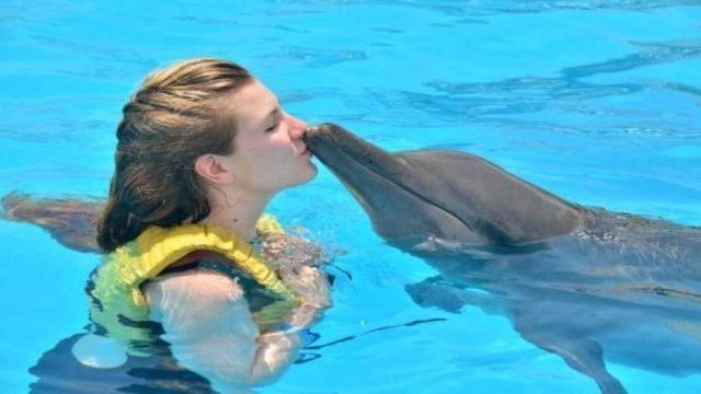 Swimming with dolphins Excursion from Hurghada — photo 3