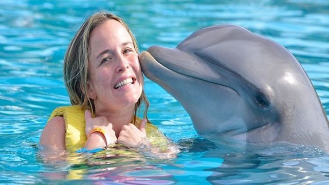 Swimming with dolphins Excursion from Hurghada — photo 5
