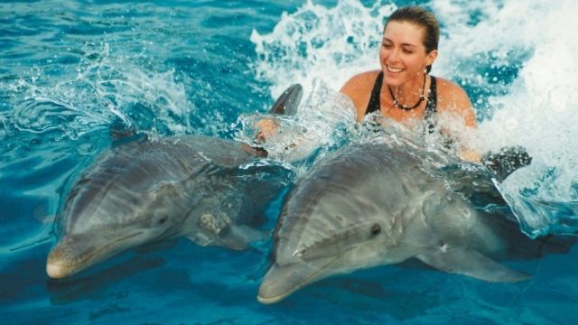 Swimming with dolphins Excursion from Hurghada — photo 6